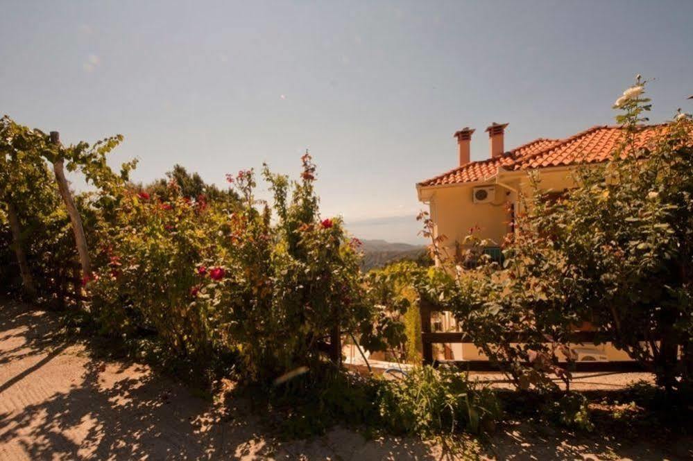 Rastoni Pelion Hotell Vyzitsa Exteriör bild