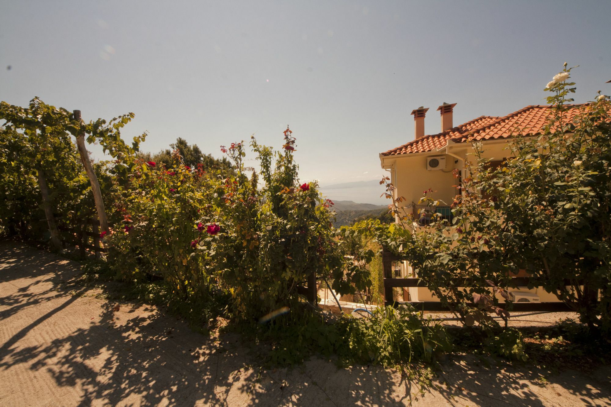 Rastoni Pelion Hotell Vyzitsa Exteriör bild